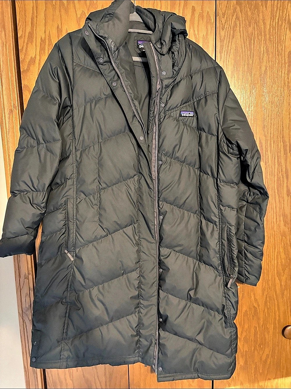 Patagonia Down With It Parka Gray Puffer Coat XXL